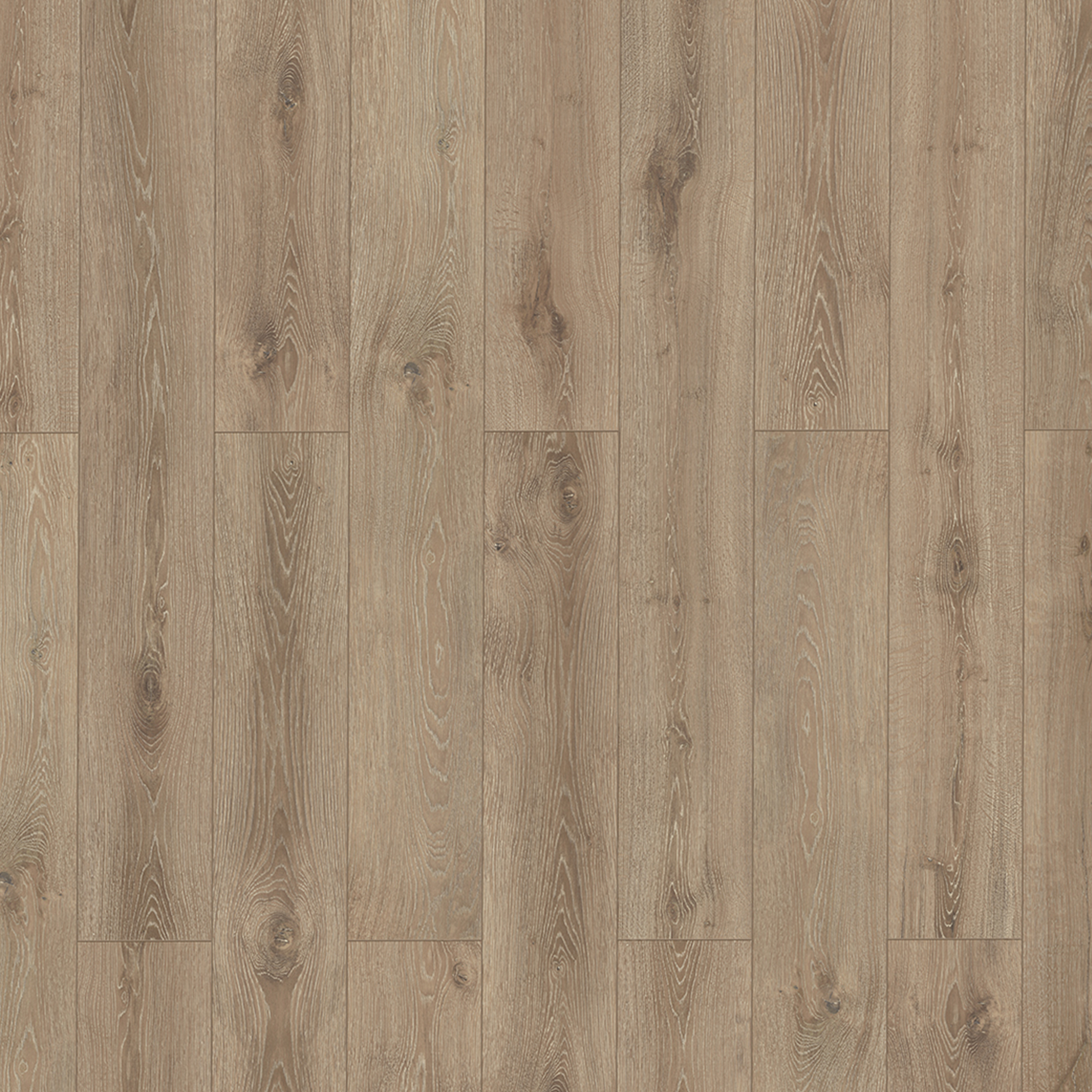 Designboden Plain Oak Greige - Klick