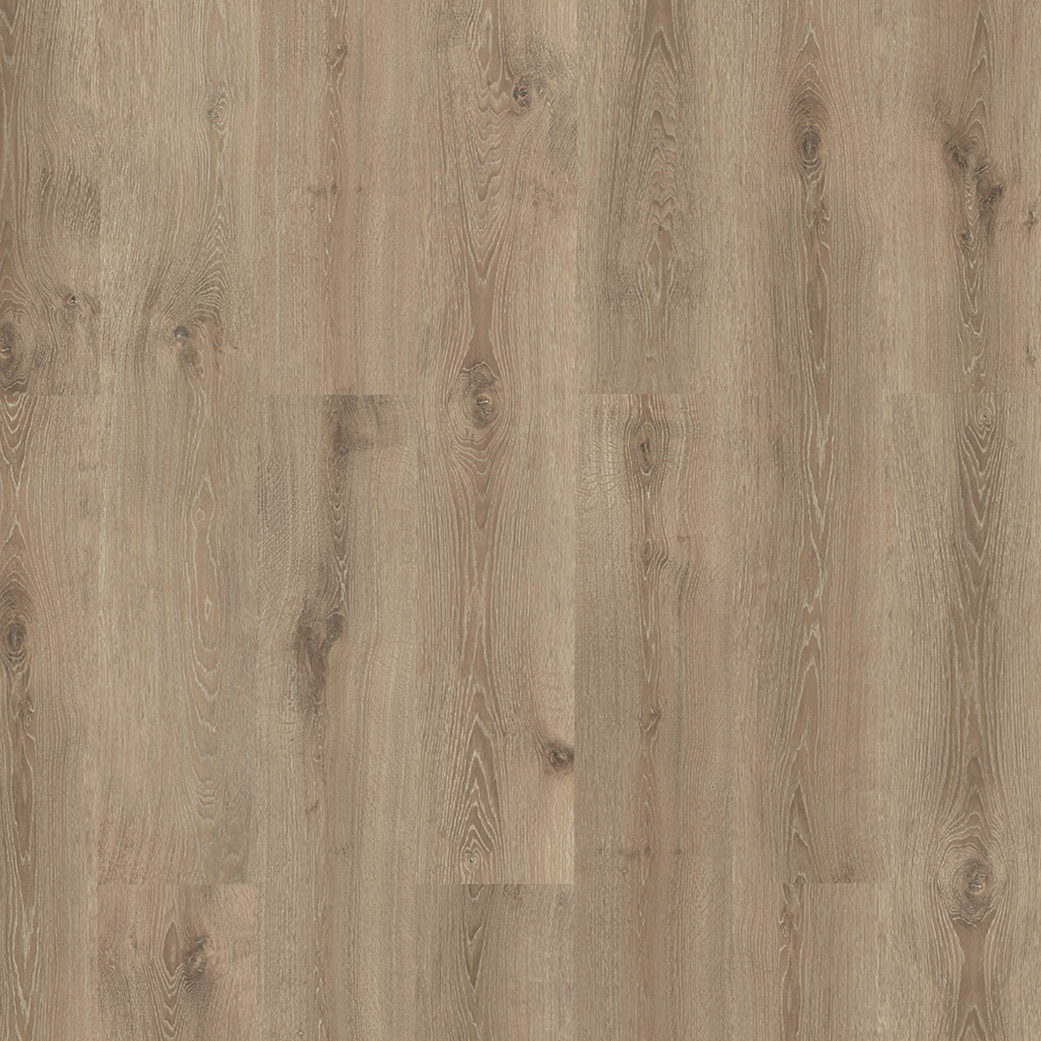 Designboden Plain Oak Greige - Kleben